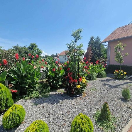 B&B Majhen Kopacevo Zewnętrze zdjęcie