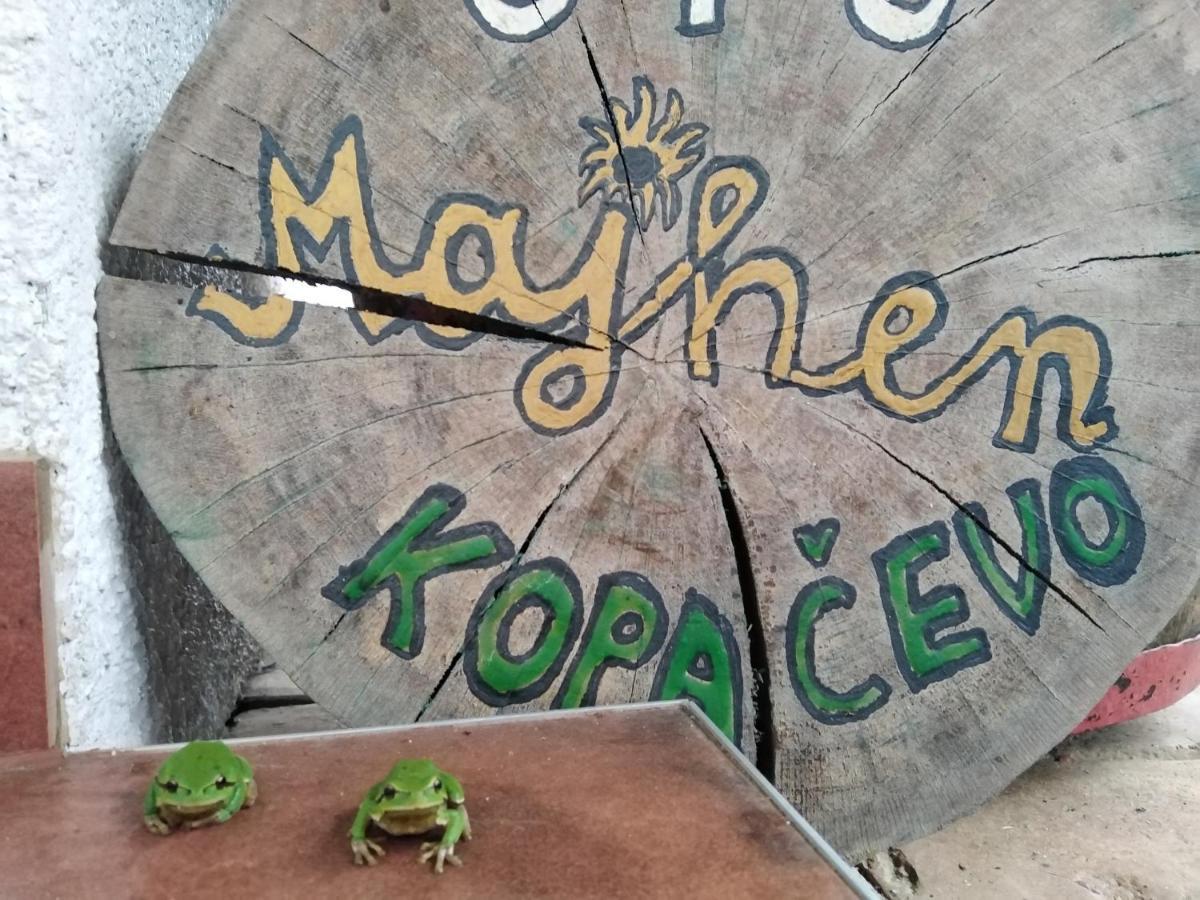 B&B Majhen Kopacevo Zewnętrze zdjęcie