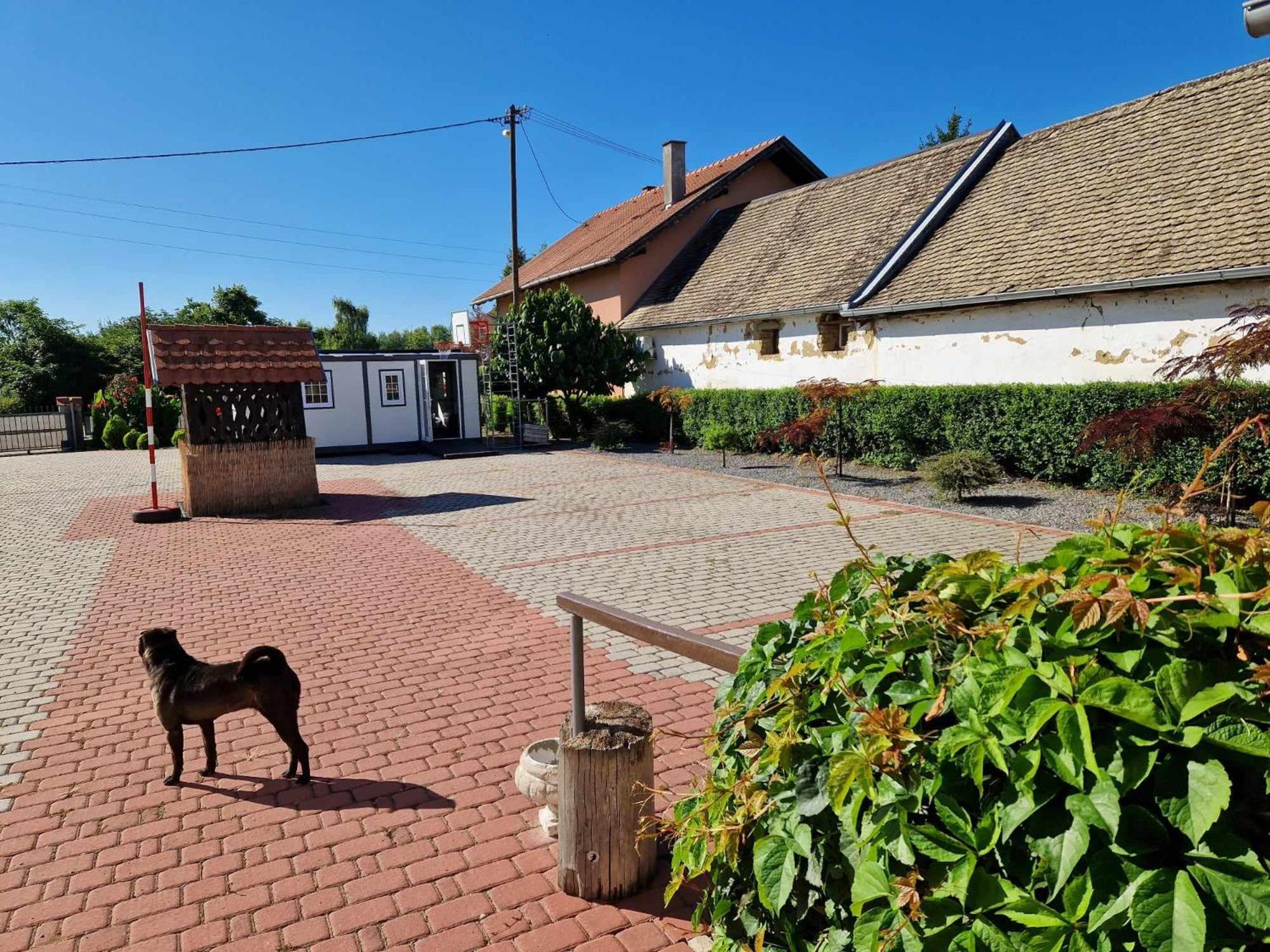 B&B Majhen Kopacevo Zewnętrze zdjęcie