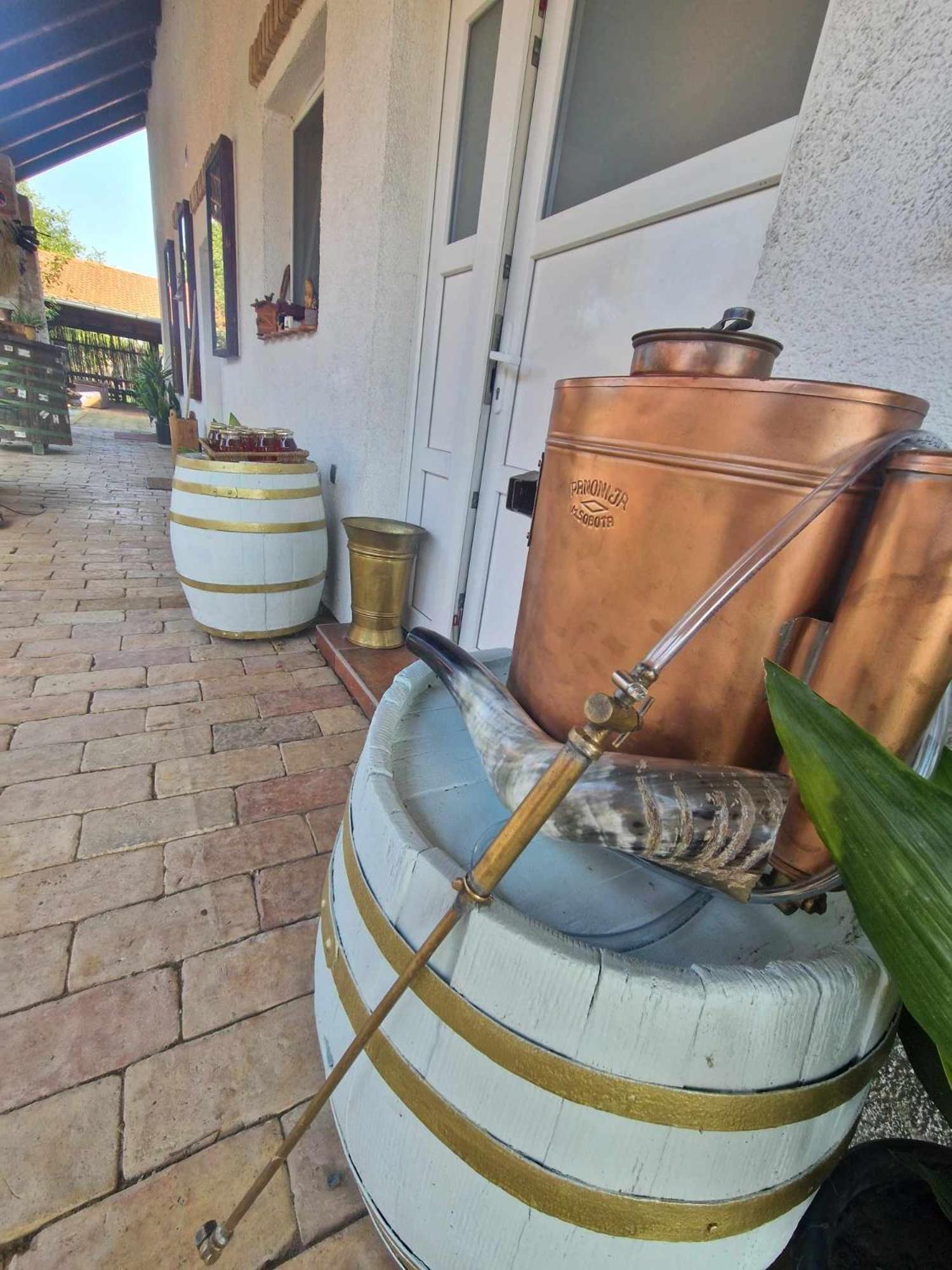 B&B Majhen Kopacevo Zewnętrze zdjęcie