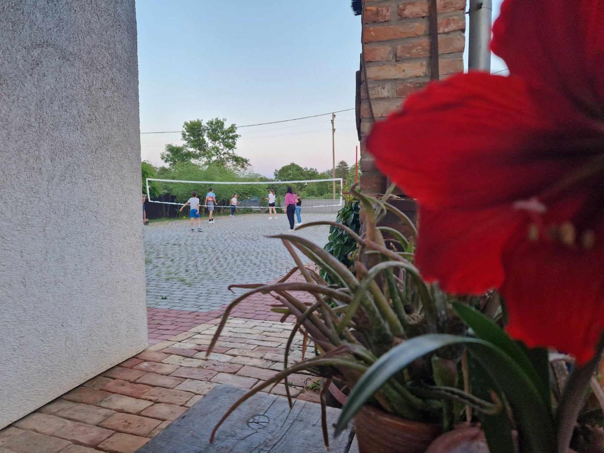 B&B Majhen Kopacevo Zewnętrze zdjęcie